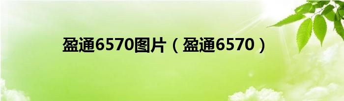 盈通6570图片（盈通6570）