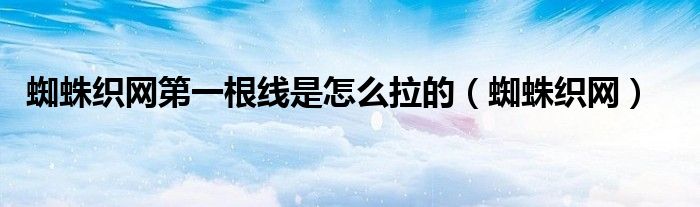 蜘蛛织网第一根线是怎么拉的（蜘蛛织网）