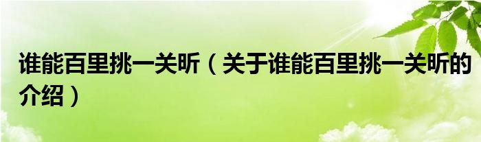 谁能百里挑一关昕（关于谁能百里挑一关昕的介绍）