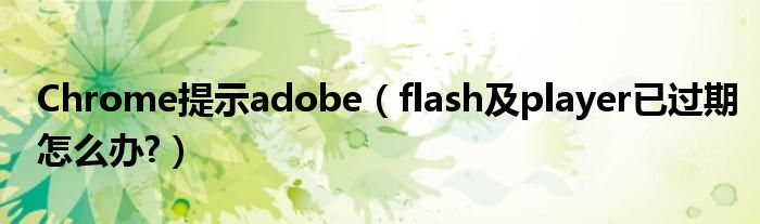 Chrome提示adobe（flash及player已过期怎么办?）