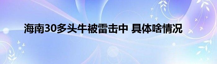 海南30多头牛被雷击中 具体啥情况