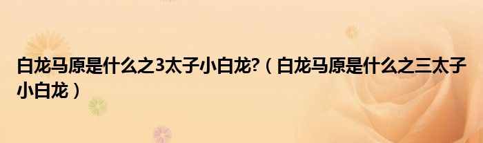 白龙马原是什么之3太子小白龙?（白龙马原是什么之三太子小白龙）