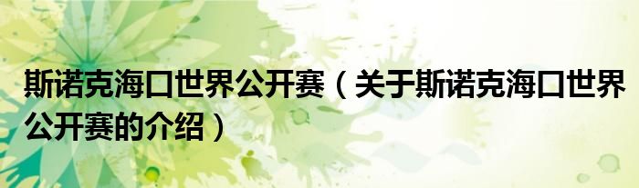 斯诺克海口世界公开赛（关于斯诺克海口世界公开赛的介绍）
