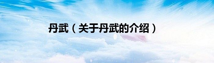 丹武（关于丹武的介绍）
