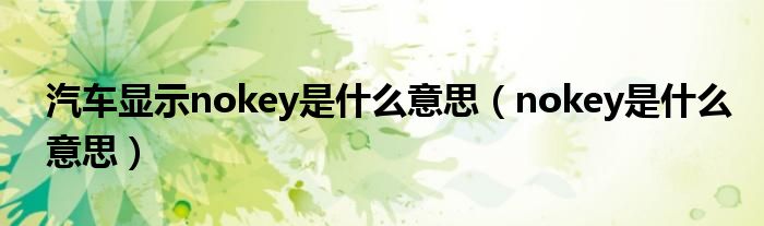 汽车显示nokey是什么意思（nokey是什么意思）